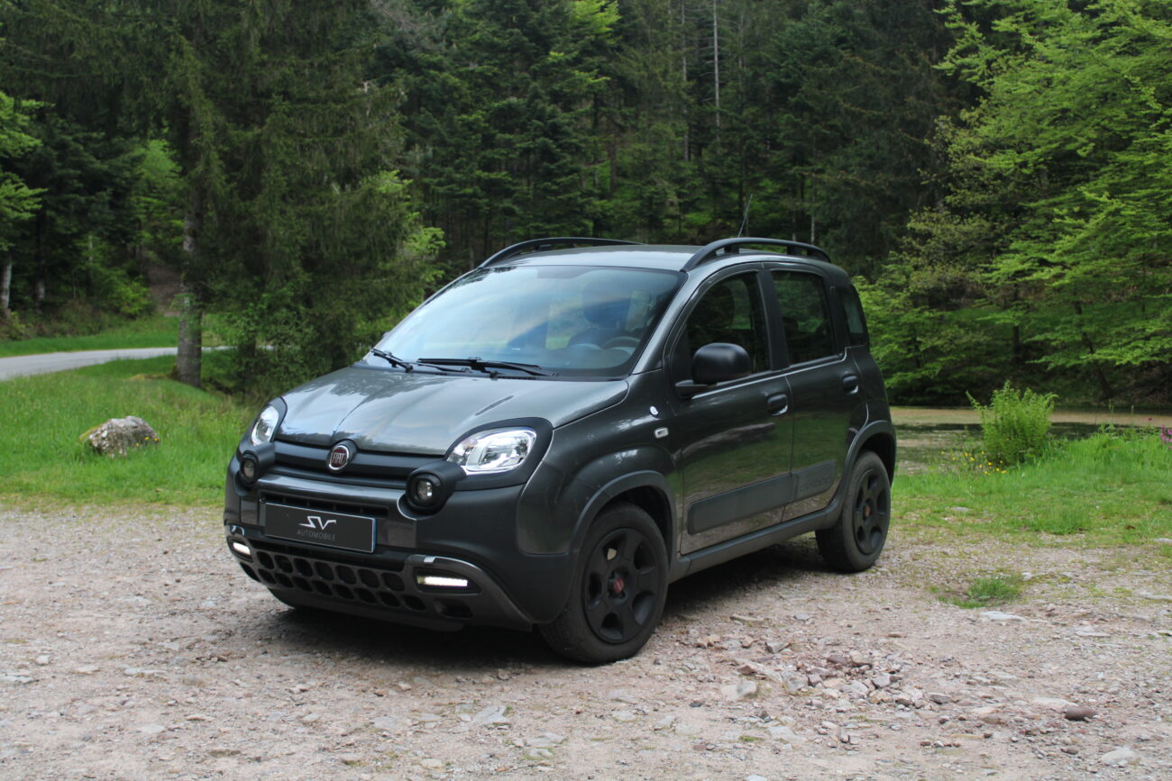 sv automobile panda grise img 4116 29
