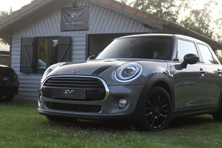 sv automobile mini fap img 0084 03