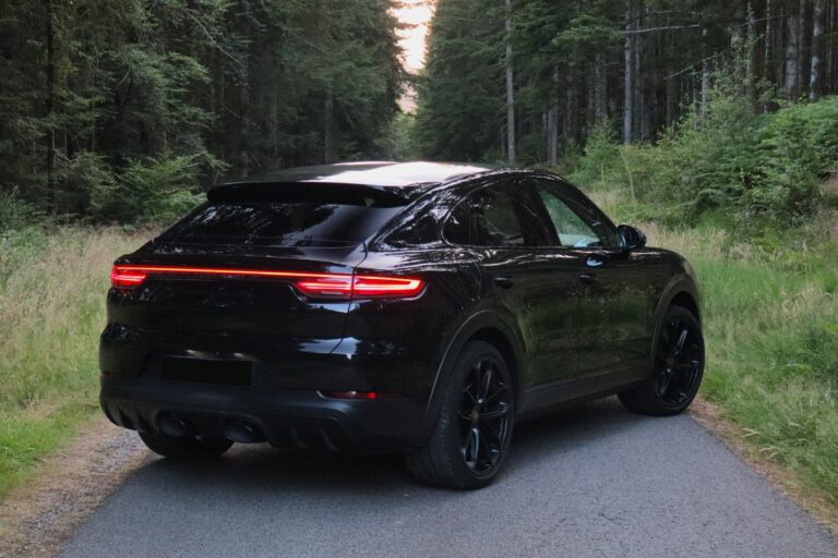 sv automobile cayenne leo img 1993 19