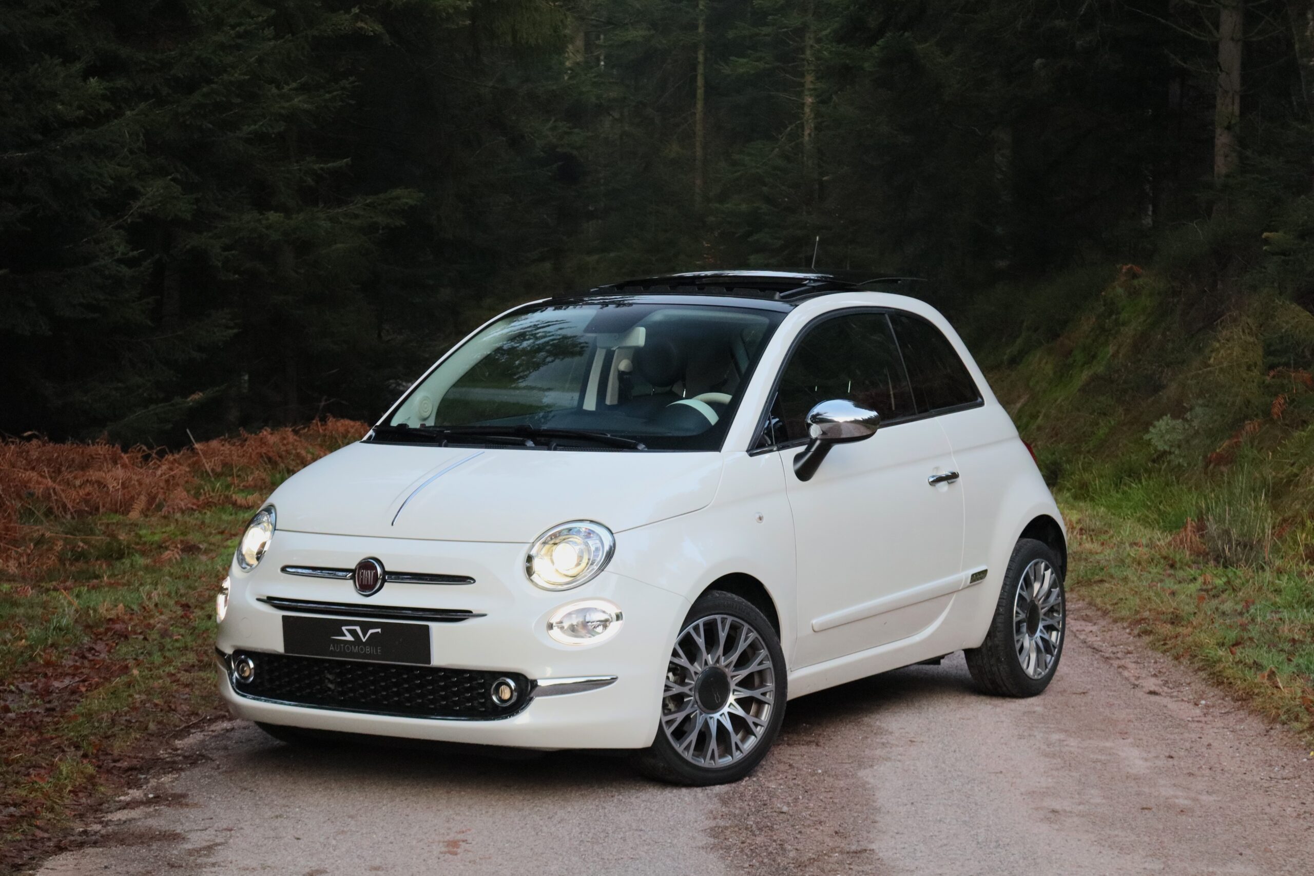 sv automobile 500 nacre img 5067 08