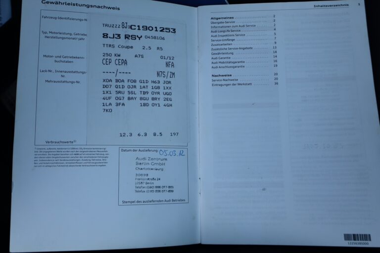 sv automobile ttrs bleu img 5020 17