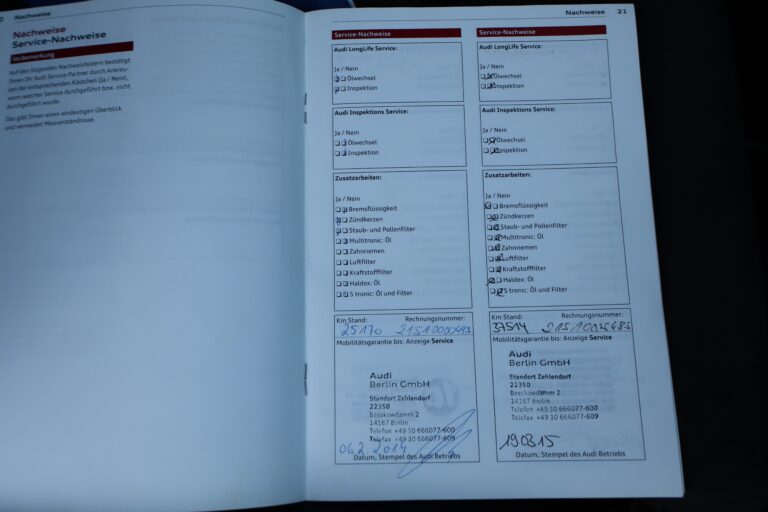 sv automobile ttrs bleu img 5022 19