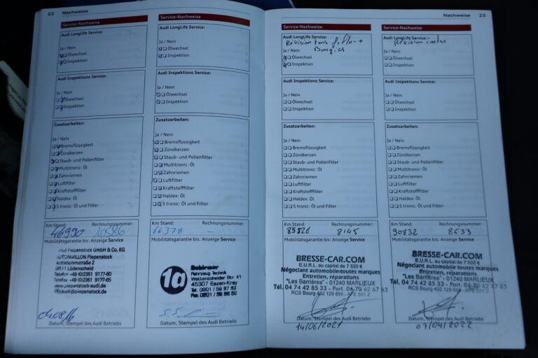 sv automobile ttrs bleu img 5023 20