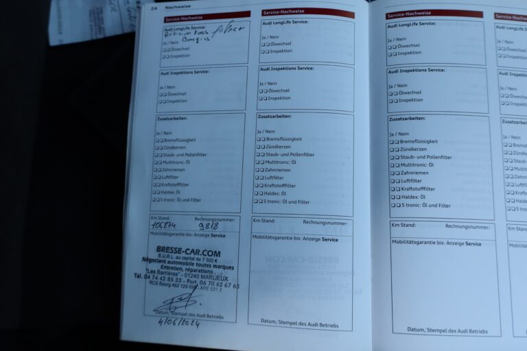 sv automobile ttrs bleu img 5024 21