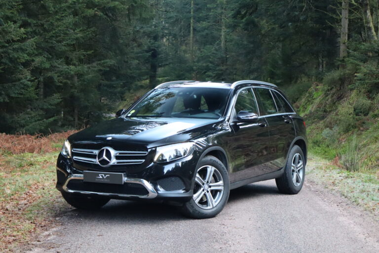 sv automobile boiserie img 5294 01