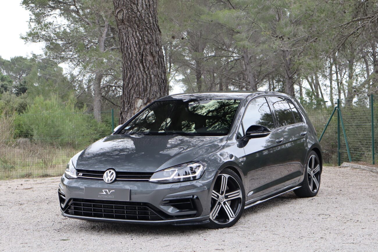 sv automobile 7r contess grise dfg 01