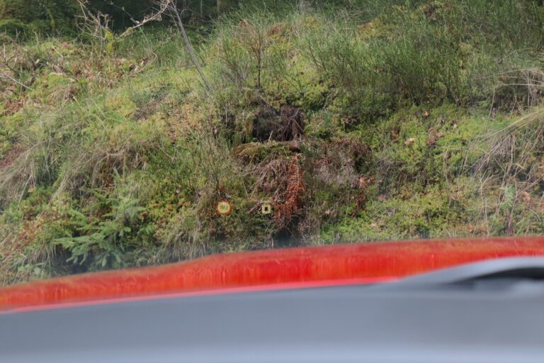 sv automobile m4 rouge img 7053 13