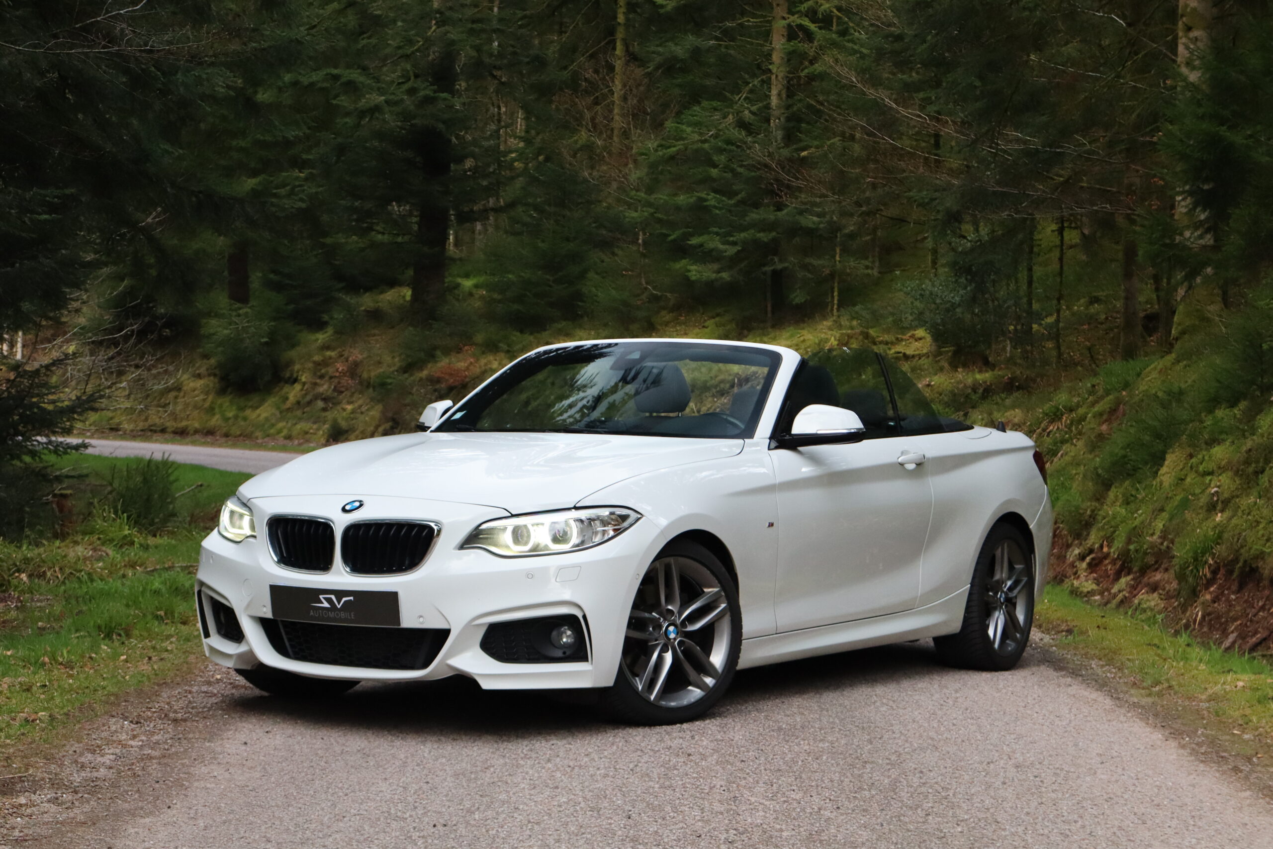 sv automobile 220d cab img 7848 01