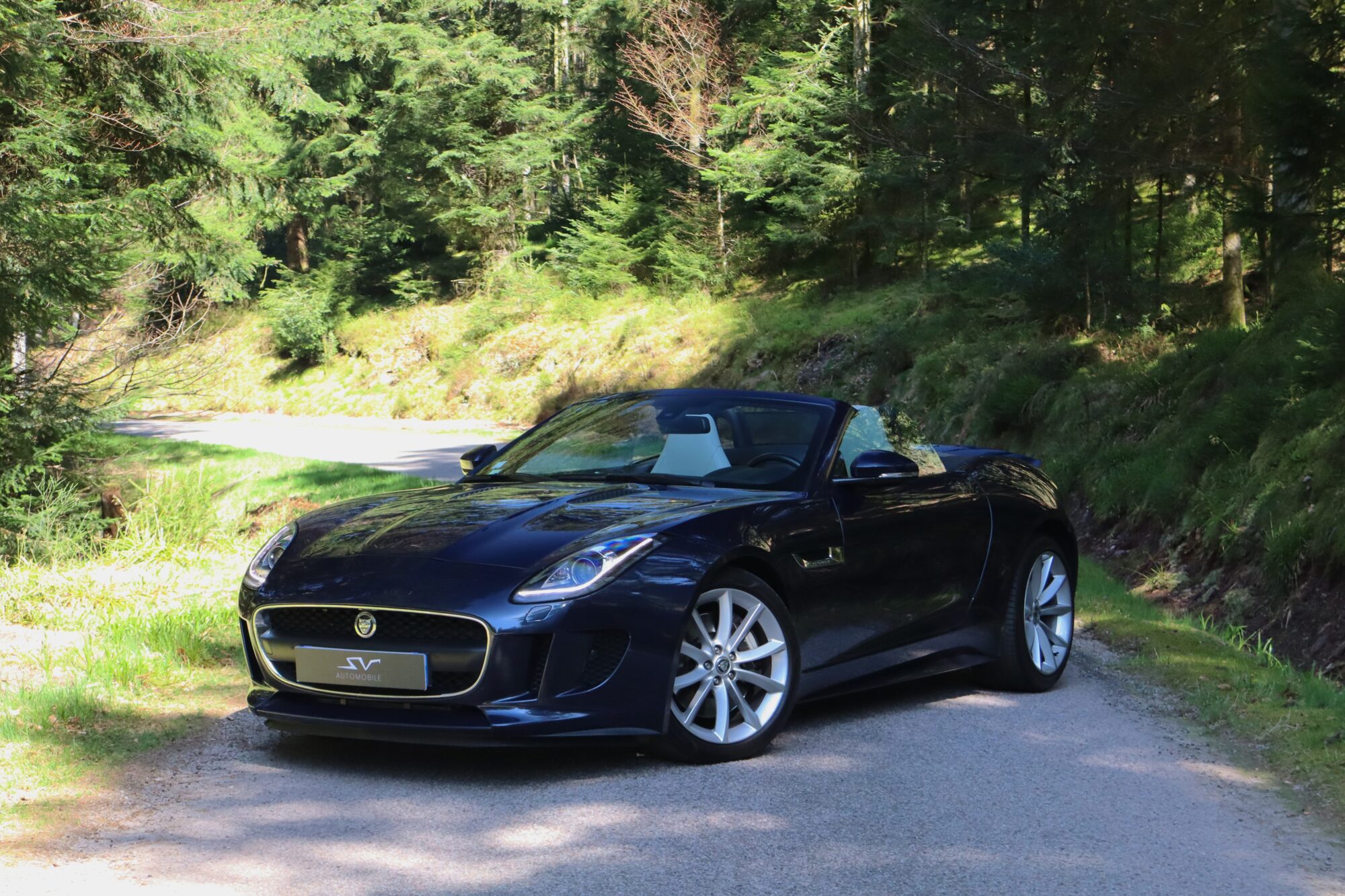 sv automobile f type bleu img 8003 01