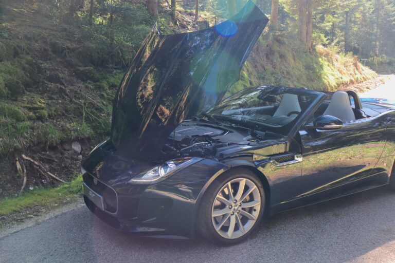 sv automobile f type bleu img 8116 24