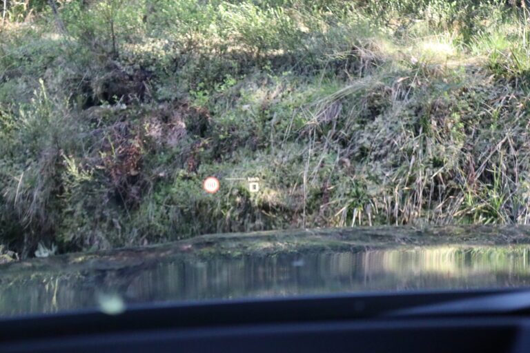 sv automobile m3 noir blanc img 8202 22