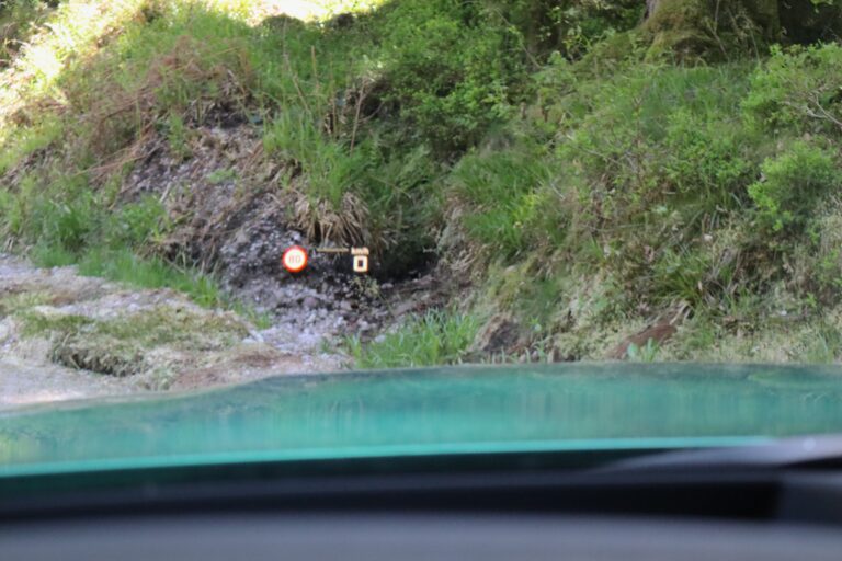 sv automobile m3g80verte img 8958 23