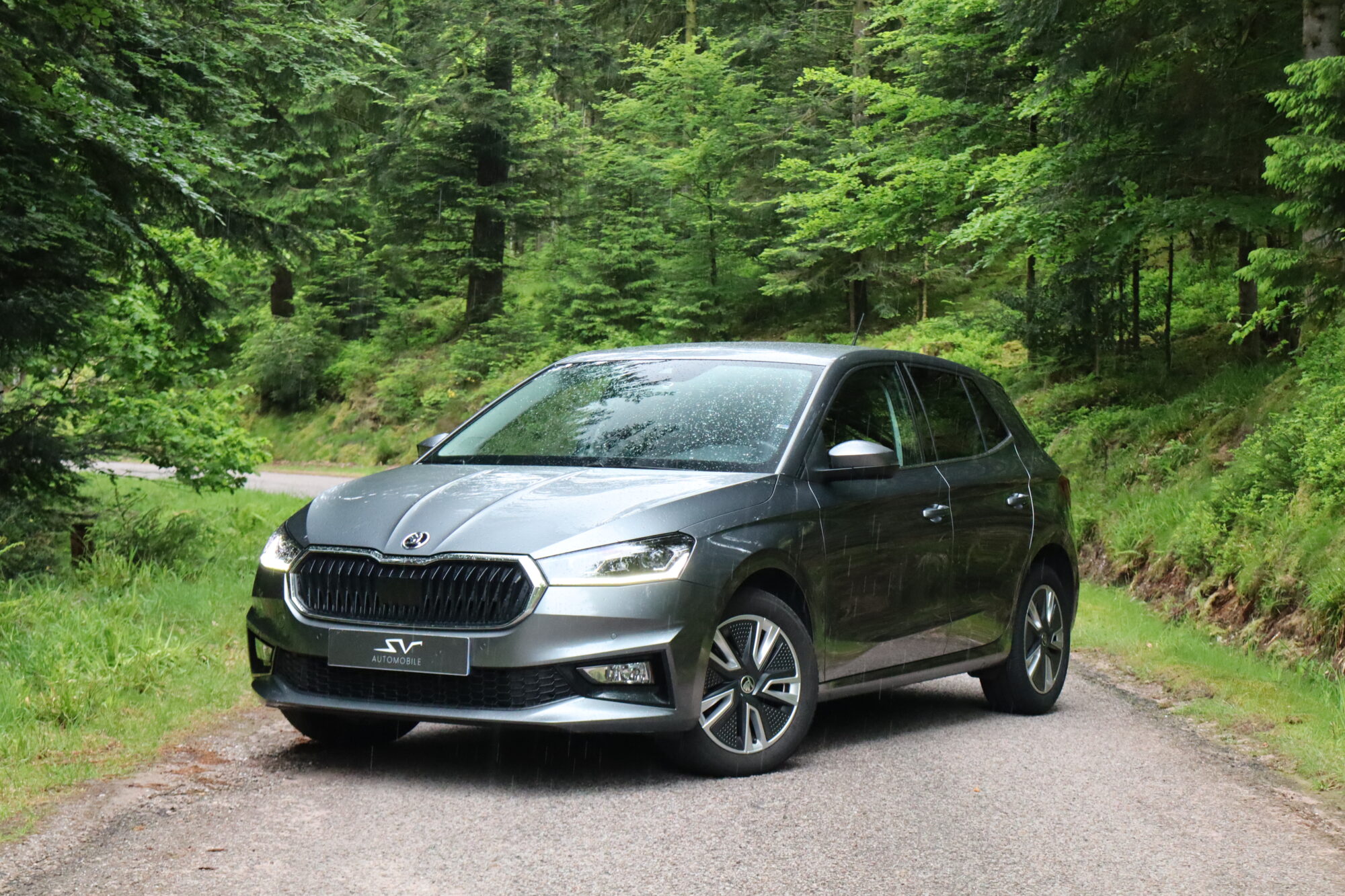 sv automobile fabia emilien img 0190 01