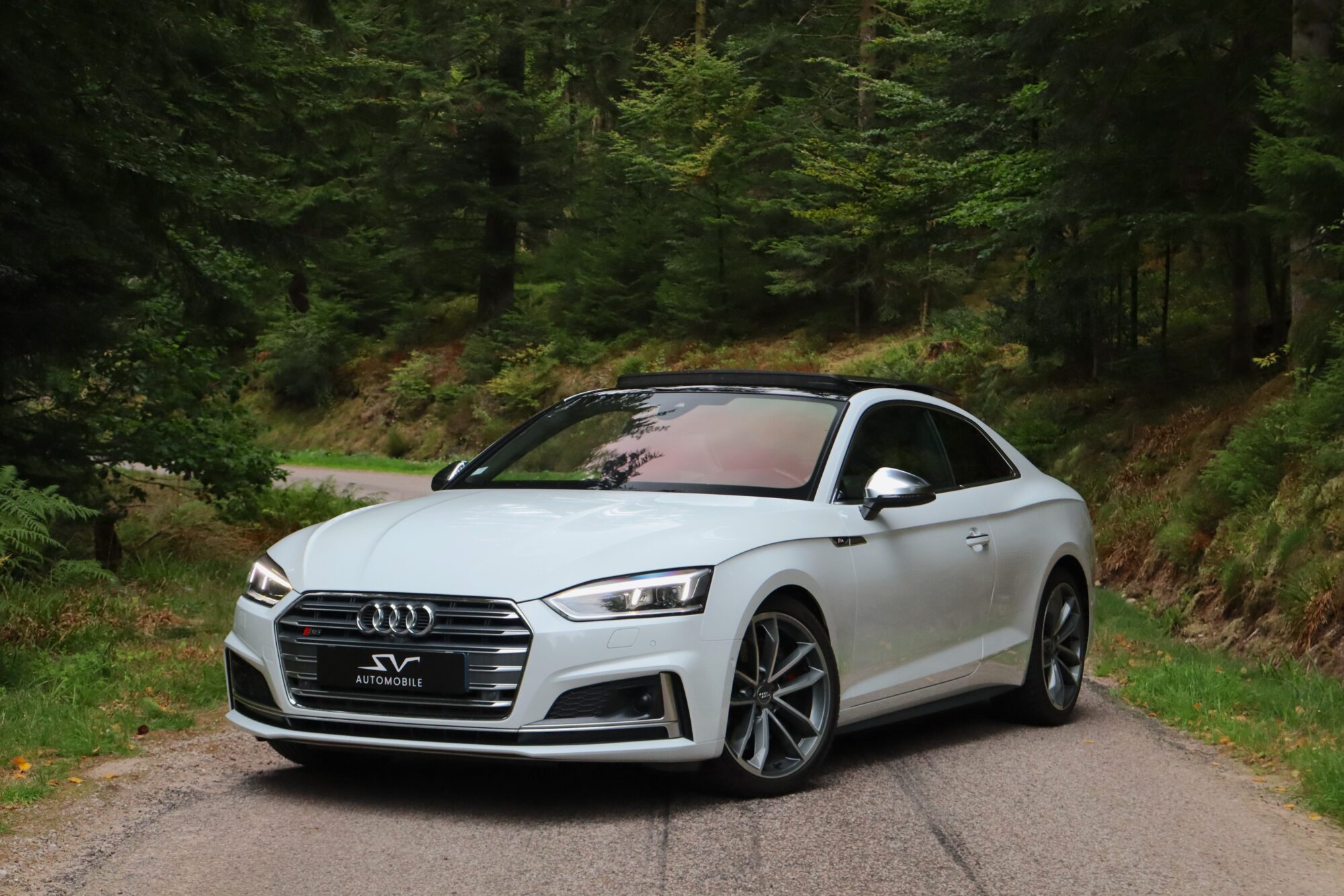 sv automobile s5 covering img 7666 30