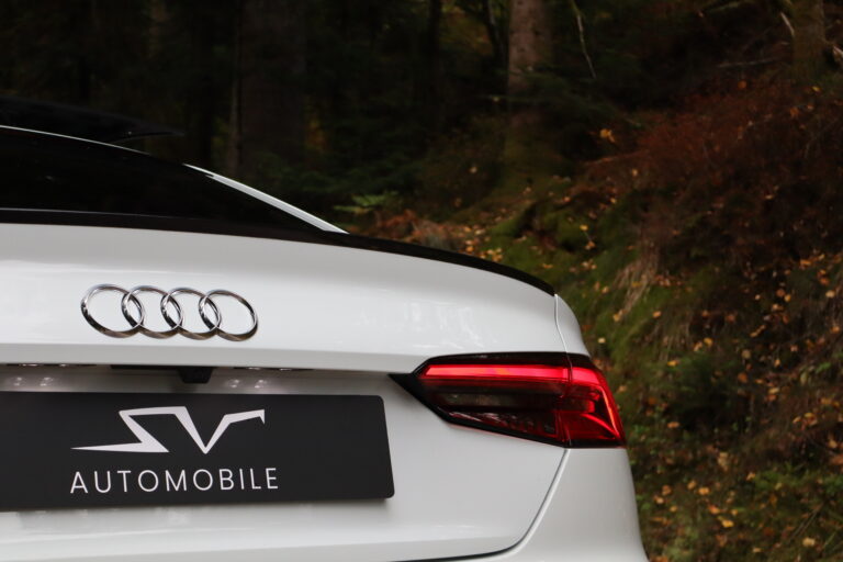 sv automobile s5 covering img 7691 34