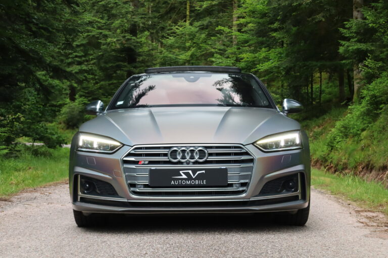 sv automobile s5 psikiadelik img 2869 08
