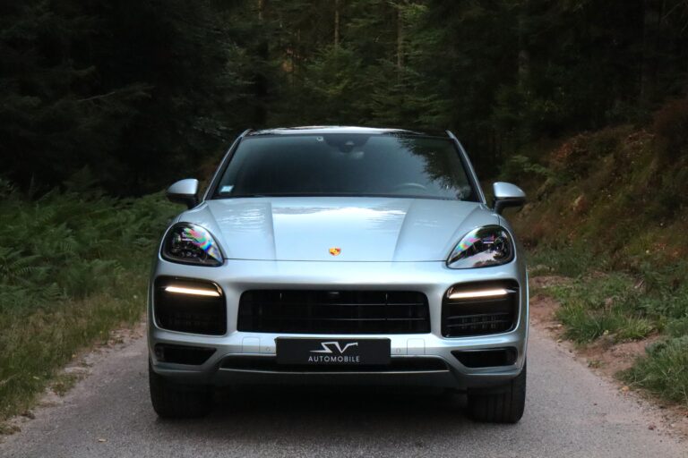 sv automobile facq 2 img 5352 18