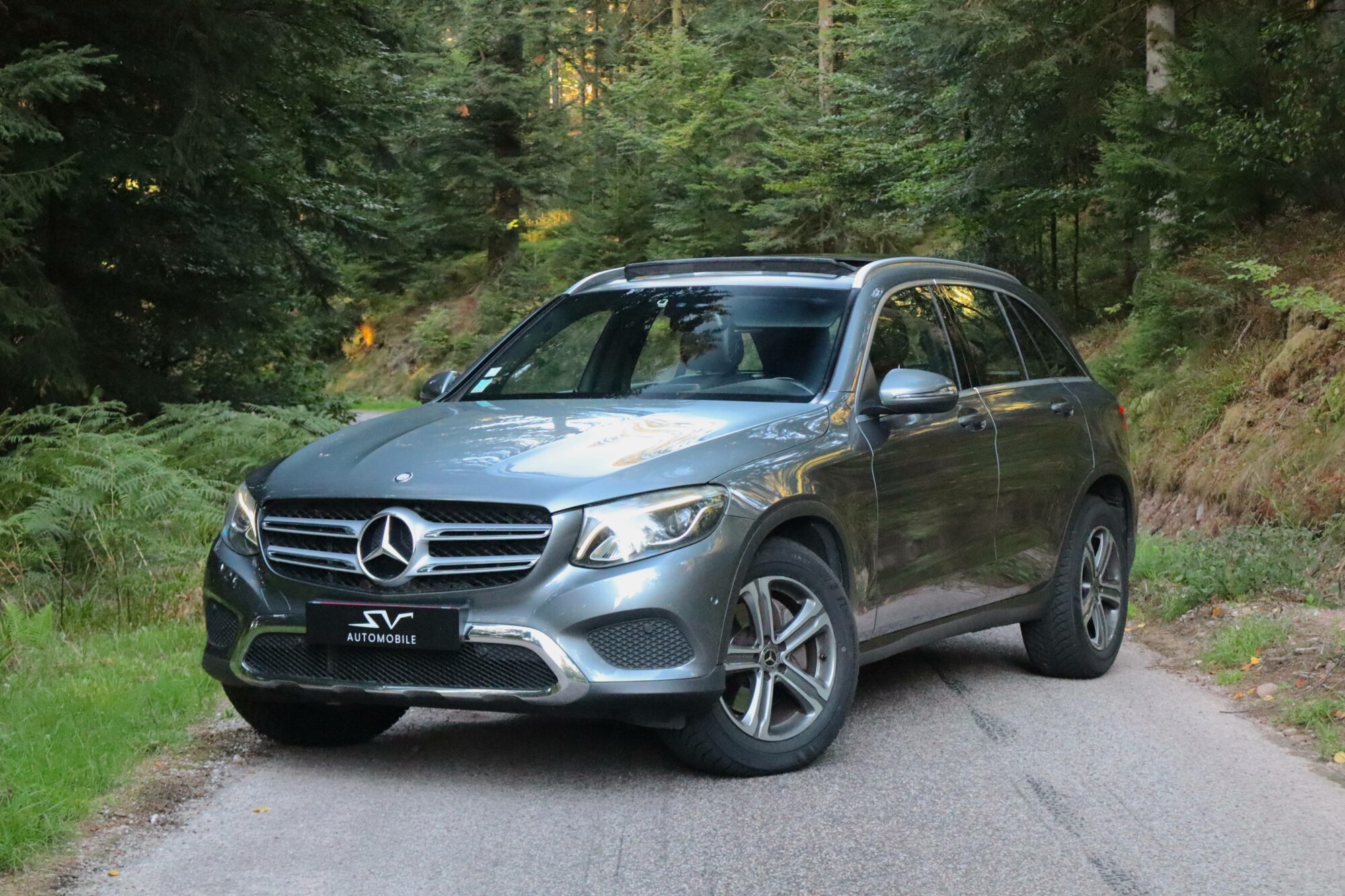 Mercedes-Benz Glc 220 d 170ch 4Matic 9G-Tronic